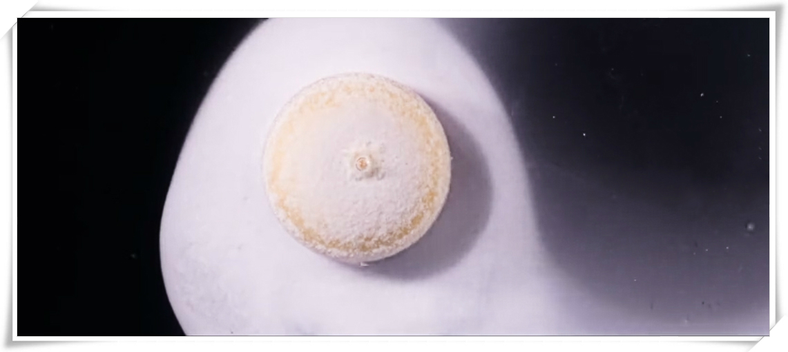 yl23455永利(中国)有限公司