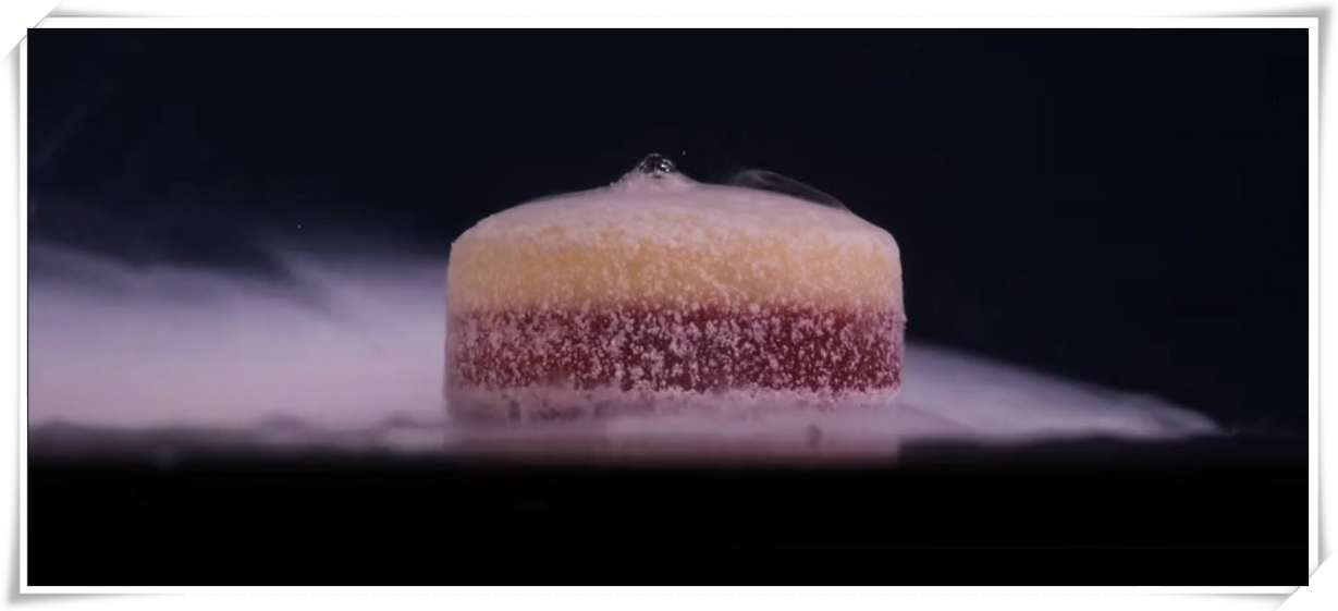 yl23455永利(中国)有限公司